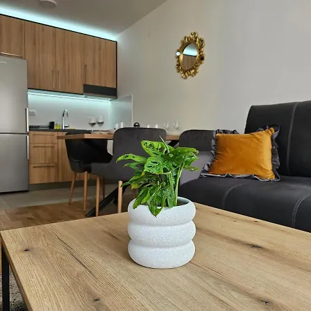 Sun&moon * Нови-Сад